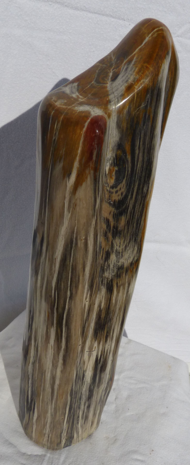 DEKORACE ze zkamenělého dřeva  cena 18000,-Kč včetně DPH rozměry 12/13/58cm  7,8kg