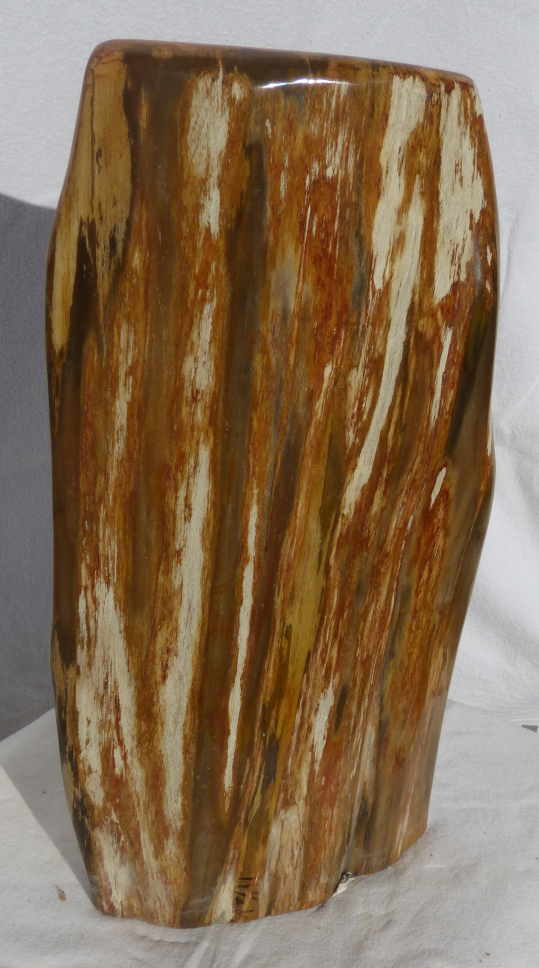 DEKORACE ze zkamenělého dřeva  cena 18000,-Kč včetně DPH rozměry 22/13/40cm  11,5kg