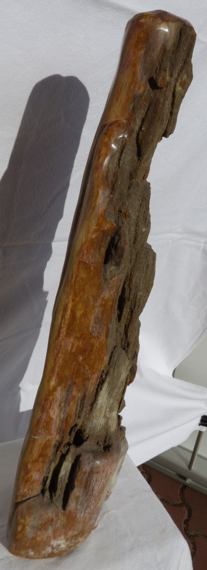 DEKORACE ze zkamenělého dřeva  cena včetně DPH  21000,-Kč  rozměry 20/19/77  21,8kg  jedna strana nebroušená surová